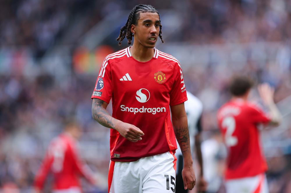 这些新加入 这些新加入